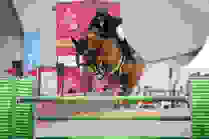 c36c1298-99a0-4f4d-9ae0-9666a5d3dc86