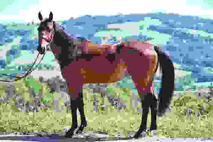 image42