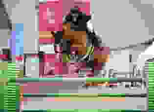 c36c1298-99a0-4f4d-9ae0-9666a5d3dc86