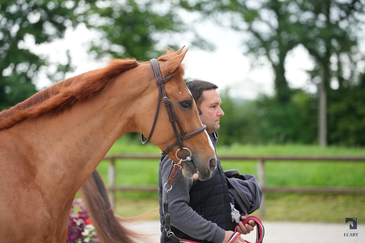 photo-2024-05-21-09-21-57 photo-2024-05-21-09-21-57