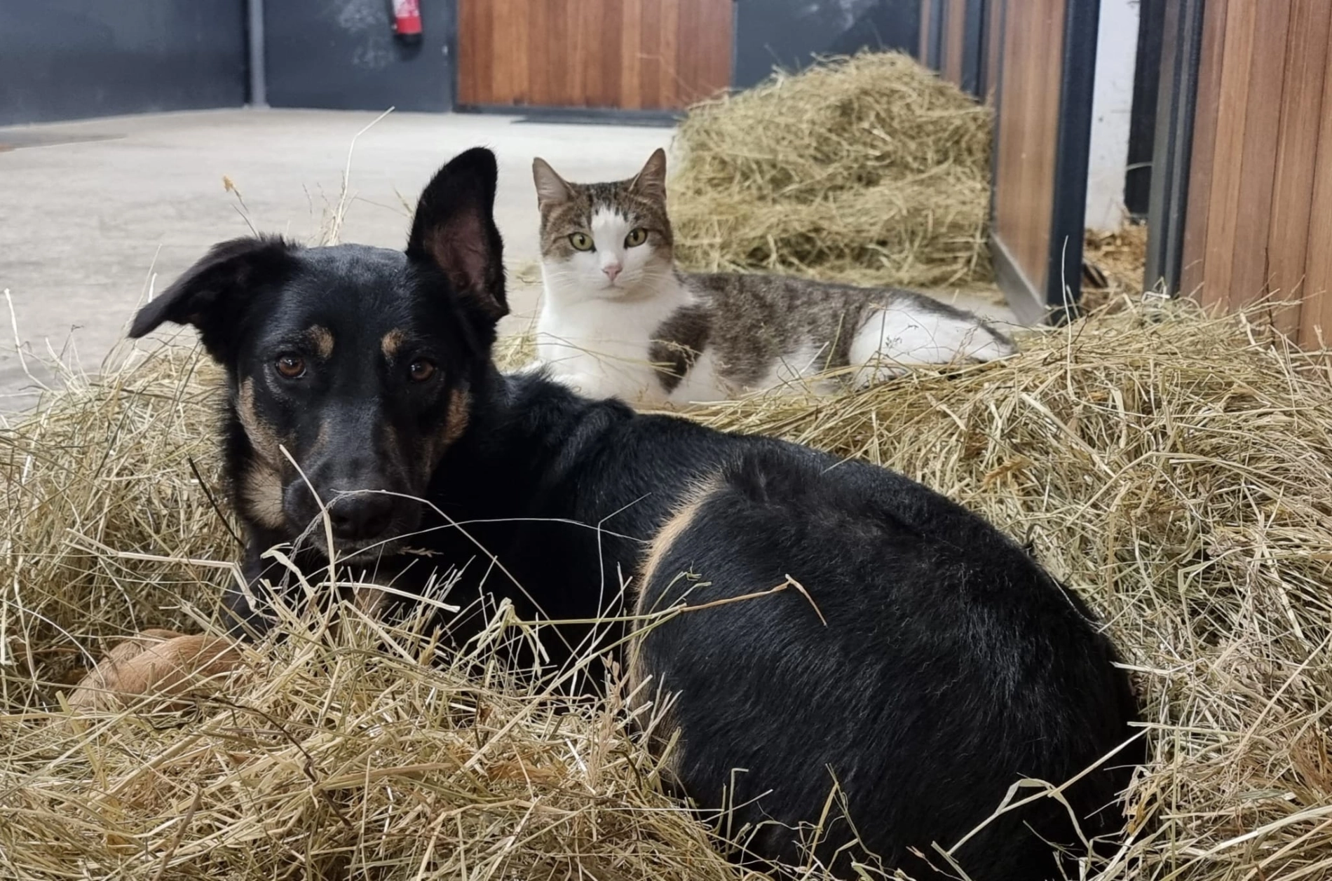 ecdbb108-5a2d-4809-ae22-067cbde9bc32 ecdbb108-5a2d-4809-ae22-067cbde9bc32